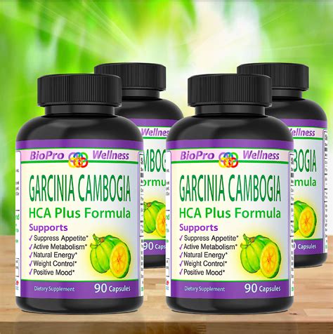 best weight loss diet pills garcinia cambogia 100 pure belly fat