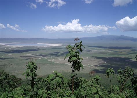 rhino  tanzanias ngorongoro crater audley travel