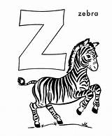 Coloring Zebra Honkingdonkey Ausmalbild Clipartbest Coloringhome Letzte sketch template