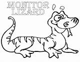 Coloring Lizard Monitor Pages sketch template