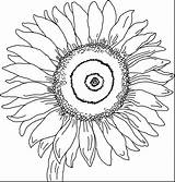 Gogh Van Sunflowers Vase Coloring Sunflower Pages Vincent sketch template