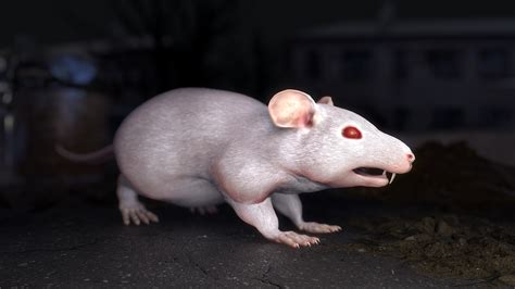 fat rat flippednormals