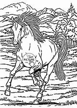 Coloring Pages Horse Running Printables Animal Kids Wuppsy Wild Children sketch template