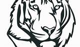 Tiger Face Coloring Printable Pages sketch template
