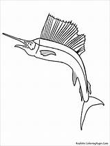 Swordfish Parrot Coloringbay Archerfish Bird Getcolorings sketch template
