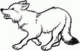 Coloring Pages Wolves Wolf Cute Popular sketch template