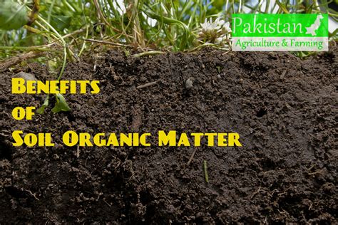 benefits  organic matter  agricultural  horticultural soils pakagrifarming pakagrifarming