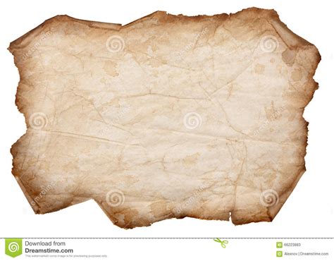 torn paper scroll isolated   white background stock image