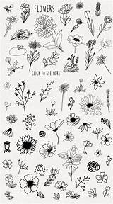 Doodle Bocetos Bullet Plantillas Dessin Drawn Delicados Zeichnen Fleur Tatouages Croquis Sketched Calas Dibujadas Doodling Ilustraciones Florales Romero Hoja Zeusas sketch template