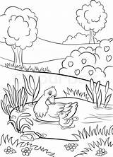 Coloring Pond Pages Duck Trees Kind Flowers Plants Cute Duckling Drawing Bushes Swim Little Getdrawings Summer Getcolorings Vector Kids Around sketch template