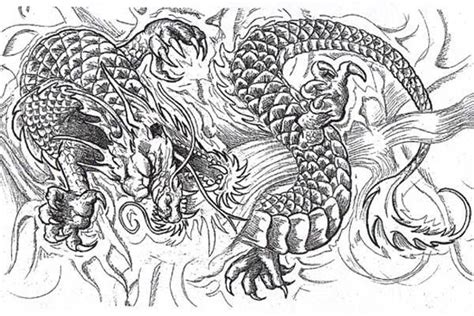 dragon colouring pages  adults google search izobrazhenie drakona