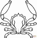 Crab Krebs Horseshoe Granchio Krab Kolorowanki Ausmalbilder Krabbe Granchi Dzieci Impressionante Px Divyajanani sketch template