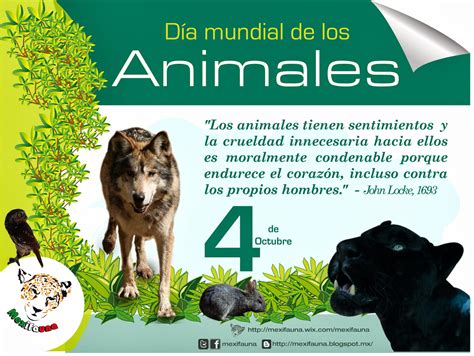 mexifauna  mundial de los animales