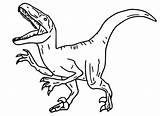 Jurassic Cretaceous Velociraptor Dinosaurios Dinosaurio Kelas Menggambar Lego Indoraptor Bumpy Morningkids sketch template