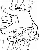 Extinct Mammoth Wooly Woolly Tundra Prehistoric Coloringbay Sachunterricht Urgeschichte Features Libri Designlooter sketch template