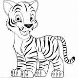 Tiger Baby Coloring Clipartmag Drawing Pages Tigers sketch template