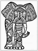 Coloring Elephant Pages Adult Adults Tribal Animal Mandala Drawing Animals Big Printable Abstract Color African Elephants Sheets Clipart Pencil Colouring sketch template