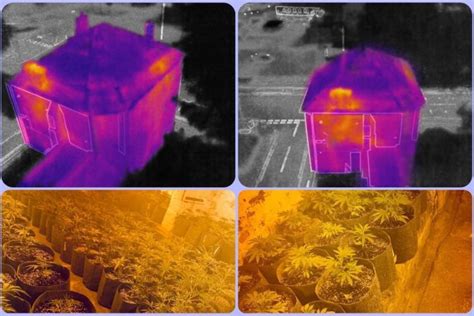 police drone  thermal camera spots weed plantation   bar