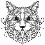 Coloring Cat Pages Adult Sheets Books Adults Animal sketch template