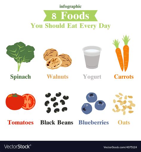 8 foods you should eat everyday infographic vector image