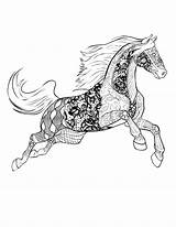Coloring Horse Pages Adult Horses Adults Book Colouring Books Printable Advanced Selah Kids Works Print Sheets Color Zentangle Mandala Foal sketch template