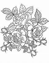 Coloring Floral Pages Adults sketch template