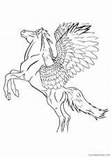 Pegasus Rearing Coloring Pages Template sketch template