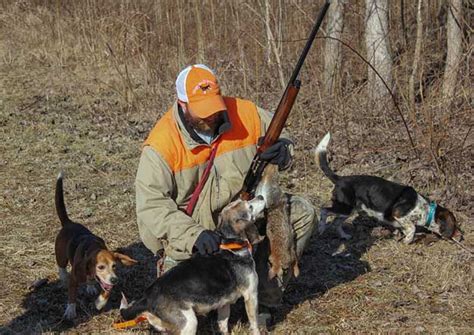 dos  donts  beagle hunting survival life beagle hunting