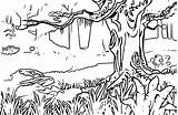 Coloring Forest Pages Landscape Kids Rainforest Mountain Adults Animals Adult Jungle Plants Background Woods Natural Drawing Printable Spring Simple Habitat sketch template