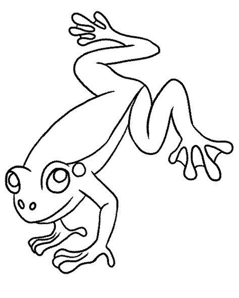 frog coloring pages  printable