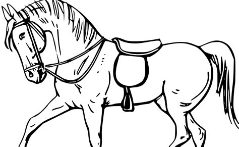 horse coloring pages preschool  kindergarten coloring pages