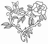 Coloring Roses Pages Printable Adults Print sketch template