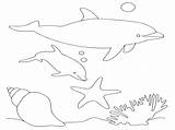 Coloring Dolphin Pages Dolphins Print Baby Color Printable Getcolorings sketch template