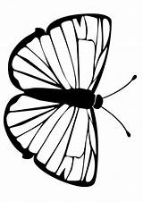 Mariposa Schmetterling Ausmalen Morada Mariposas Weiss Ausmalbilder Línea sketch template