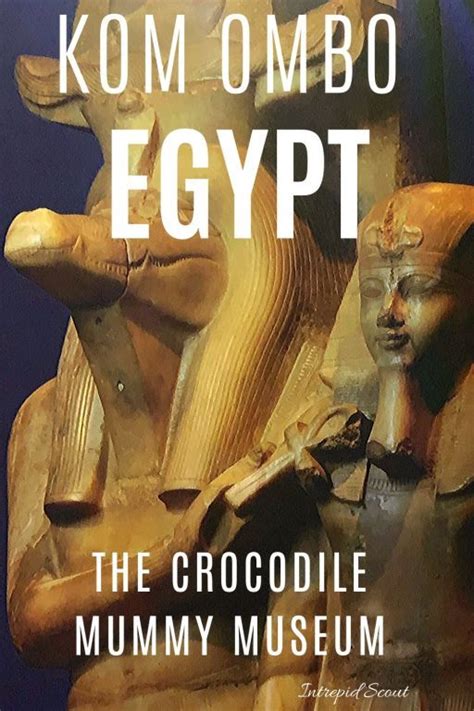 Why You Must Visit The Crocodile Mummy Museum In Kom Ombo Egypt