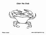 Crab Blue Coloring Sponsors Wonderful Support Please Coloringnature sketch template