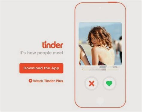 Tinder Match And Connect Mobile App Pal Raine