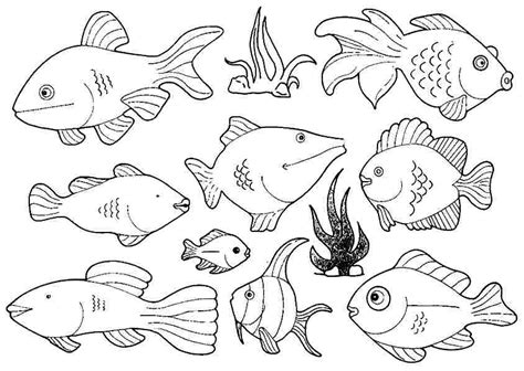 images  nice  printable fish coloring pages