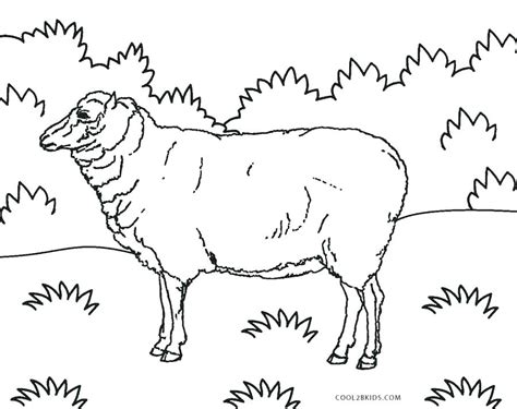 bighorn sheep drawing  getdrawings