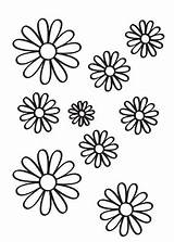 Para Pintar Margaritas Colorear Flores Dibujos Gratis Flowers Coloring sketch template