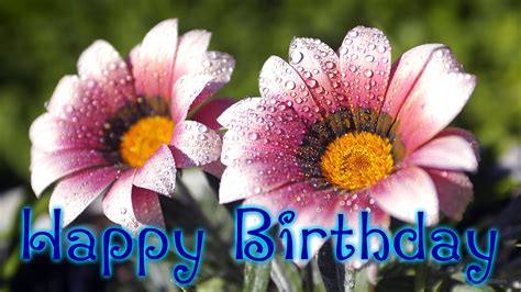 happy birthday flowers wishes quotes  hd wallpapers