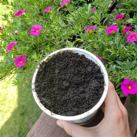 super simple ways   coffee grounds   garden