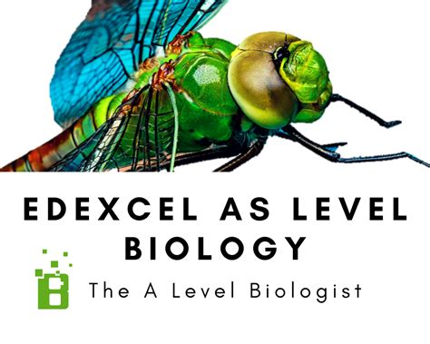 edexcel  level biology educall