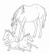 Coloring Horse Pages Realistic Mare Foals Foal Horses Drawing Print Lineart Baby Sketch Printable Twin Deviantart Drawings Rocks Colouring Pony sketch template