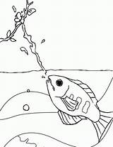 Ryby Kolorowanki Dzieci Malvorlagen Malowanki Druckbare Fische Fisch Tiere Ugu sketch template