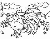 Rooster Coloring Fence Cartoon Pages Crowing Fresh Farm Cute Funny Children sketch template