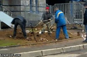teamwork wtf gif  cheezburger find share  giphy