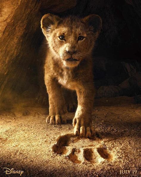 lion king  teaser seth rogen donald glover filmovenovinkysk
