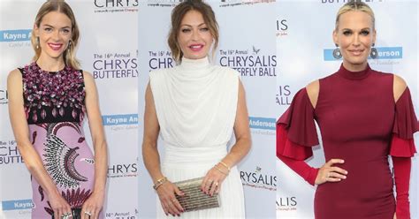 16th chrysalis butterfly ball wrap up
