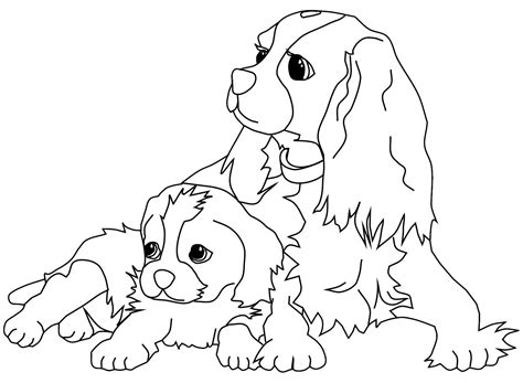 kavaler king charlz spaniel risunki poisk  google dog coloring